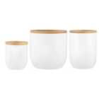 Typhoon Eden White Set Of 3 Storage Jars