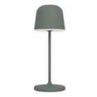 EGLO MANNERA-S Portable LED Table Light, Green