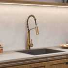 Garden Sanctuary Modern Kitchen Pull Down Faucet - Gold