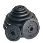 Body Revolution Cast Iron Weight Plates 2 x 1.25kg