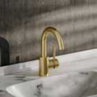 Garden Sanctuary 23Cm Gold Arc Single-handle Faucet With Swivel Spout