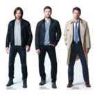 Star Cutouts Supernatural Shelf Top Pack