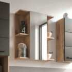 Vista Mirror Cabinet