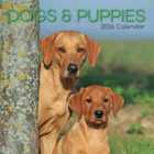 Square Wall Calendar 2026 Dogs & Puppies