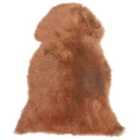 Beliani Sheepskin Rug ULURU Light Brown 65x110 cm