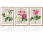 Artze Wall Art Vintage Pink And White Roses Set Of 3 Wall Art Prints Size: A2 Oak Frames