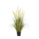 Crossland Grove Potted Grass with Cattail Seed Heads (5pk) 570mm
