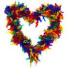 I LOVE FANCY DRESS Pack of 24 Rainbow Pride Feather Boa - 65g (Accessories)