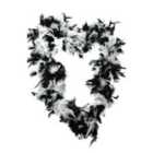 I LOVE FANCY DRESS Pack of 24 Black and White Mixed Feather Boa - 65g (Accessories)