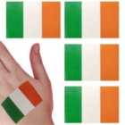 I LOVE FANCY DRESS Pack of 24 Temporary Irish Flag Tattoos (Accessories)