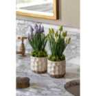 Crossland Grove Spring Hydrangea White in Ceramic Pots Set of 2