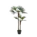Crossland Grove Potted Statement Palm 1170mm