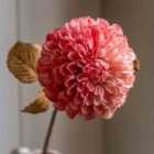 Crossland Grove Faux Stem Dahlia Apricot 730mm (6pk)