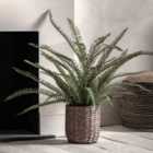 Crossland Grove Potted Fern Plant 980mm