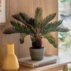 Crossland Grove Wide Palm in Concrete Pot