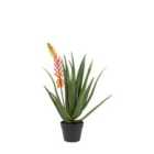 Crossland Grove Aloe Potted Plant with Orange Flower