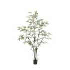 Crossland Grove Potted Bamboo Tree 5ft