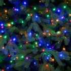 Robert Dyas Mains Operated Multicoloured Firefly Lights - 400 LEDs