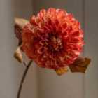 Crossland Grove Faux Stem Dahlia Orange 730mm (6pk)