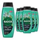 Radox Mineral Therapy Feel Invigorated Shower Gel & Shampoo for Men, 450ml, 6 Pack