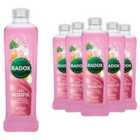 Radox Feel Blissful Bath Soak, Calendula & Rose, 6 Pack, 500ml