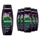 Radox Mineral Therapy Feel Recovered 2in1 Shower Gel & Shampoo for Men, 450ml, 6 Pack