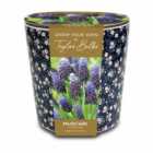 Taylors Bulbs Ditsy Blue Floral Muscari Planter