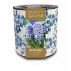 Taylors Bulbs Vintage Blue Floral Ceramic Planter