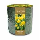 Taylors Bulbs Embossed Floral Ceramic Planter