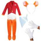 I LOVE FANCY DRESS Mr Fox Costume