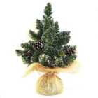 Thompson & Morgan Gift Derby Xmas Tree X 2