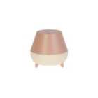 Lighting Collection Rechargeable Pink Storage Table Lamp