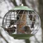 Thompson & Morgan Gift The Nuttery Squirrel-proof Seed Feeder Celadon Green