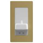 Proofvision In-Wall White Electric Toothbrush Charger & Shaver Socket - Brushed Brass