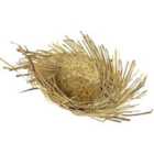 I LOVE FANCY DRESS Pack of 6 Hawaiian Straw Beachcomber Hat (Accessories)