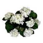 Greenbrokers Artificial White Hydrangea In Terracotta Pot 50Cm/20In
