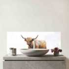 Highland Cow Watercolour Glass Bathroom Splashback