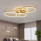 Garden Sanctuary Wall Loops Energy Efficient LED Ceiling Light 110x75cm - Gold