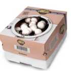 Thompson & Morgan Gift Mushroom Windowsill Kit White Button 3 Ltr Prepack X 1