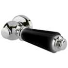 Bayswater Ceramic Cistern Flush Lever - Chrome