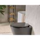 Beliani Toilet Seat PUTUMAYO Slim Soft Close Duroplast Black