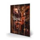 Harry Potter (hagrid)