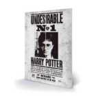 Harry Potter (undesirable No1)