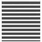 vidaXL Zebra Blind Black 145x100 cm Fabric Width 140.9 cm Polyester