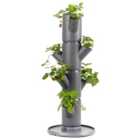 Sissi Strawberry 4 Level Easy-Watering Strawberry Tree for Balcony / Terrace / Patio - Anthracite