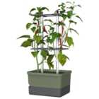Charly Chili Pot with Water Tank & Climbing System - Regular Dark Green