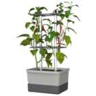 Charly Chili Pot with Water Tank & Climbing System - Regular Light Grey