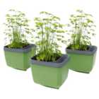 Herbs Buddy Herb Pot with Water Reservoir - Dark Green 3 Pack
