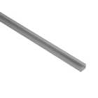 Wetwall Mermaid Brushed Silver End Cap - 2400mm